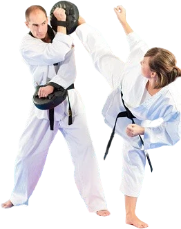 Adult Taekwondo (19+) class